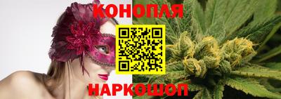 спиды Можга