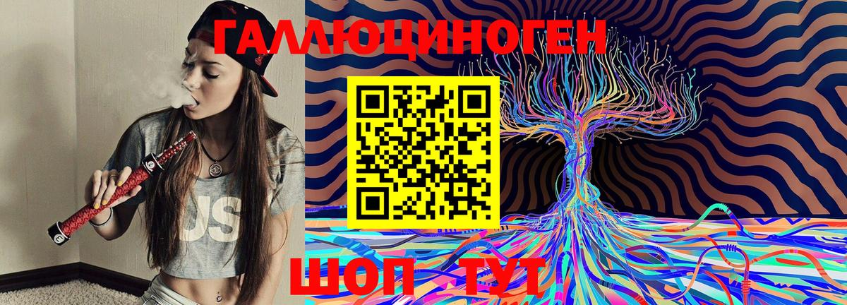 Галлюциногенные грибы Psilocybine cubensis Чернушка