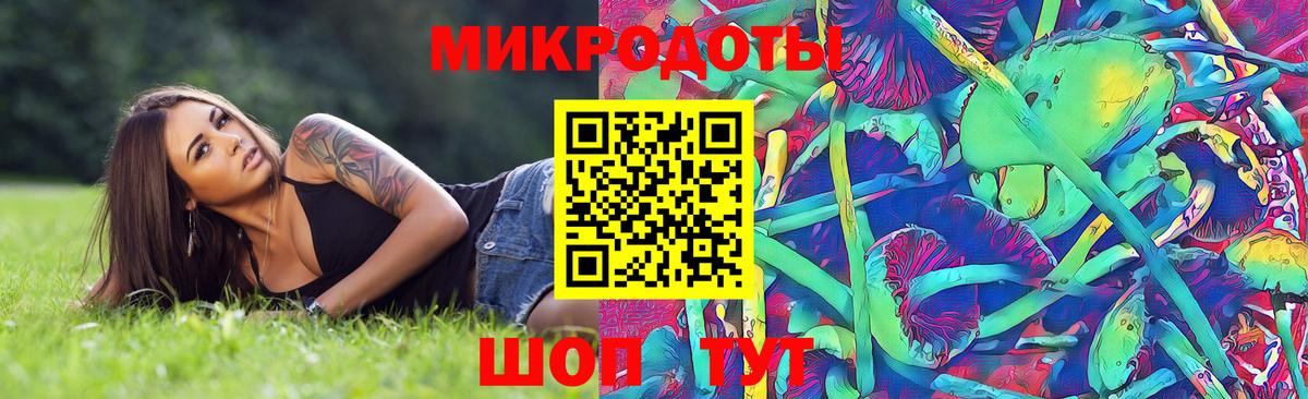 Чернушка  Галлюциногенные грибы GOLDEN TEACHER  Вход с VPN 